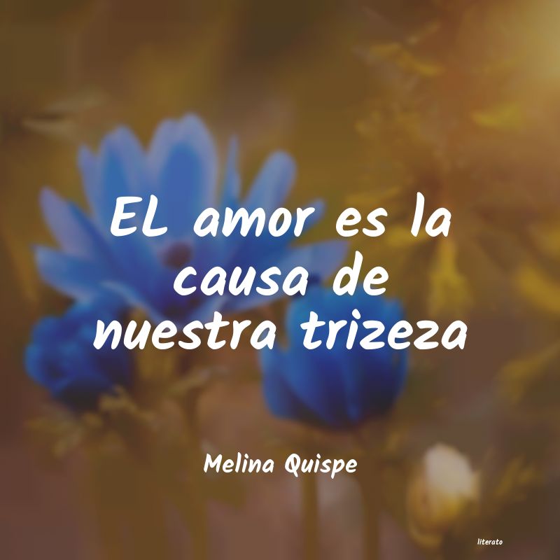 Frases de Melina Quispe