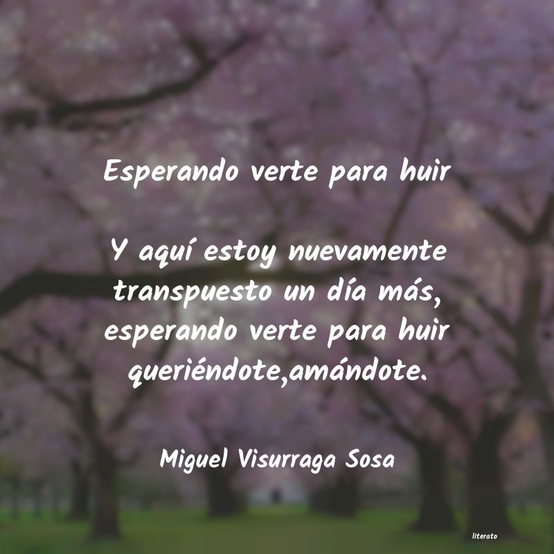 frases de Miguel Visurraga Sosa