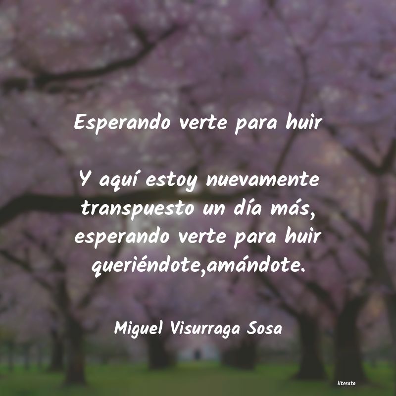 Frases de Miguel Visurraga Sosa