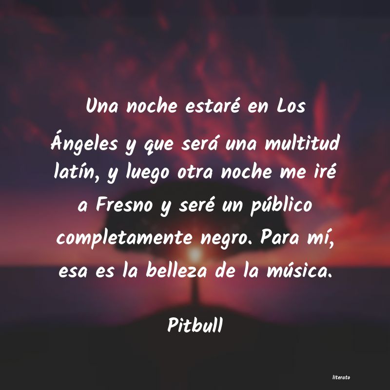 Frases de Pitbull