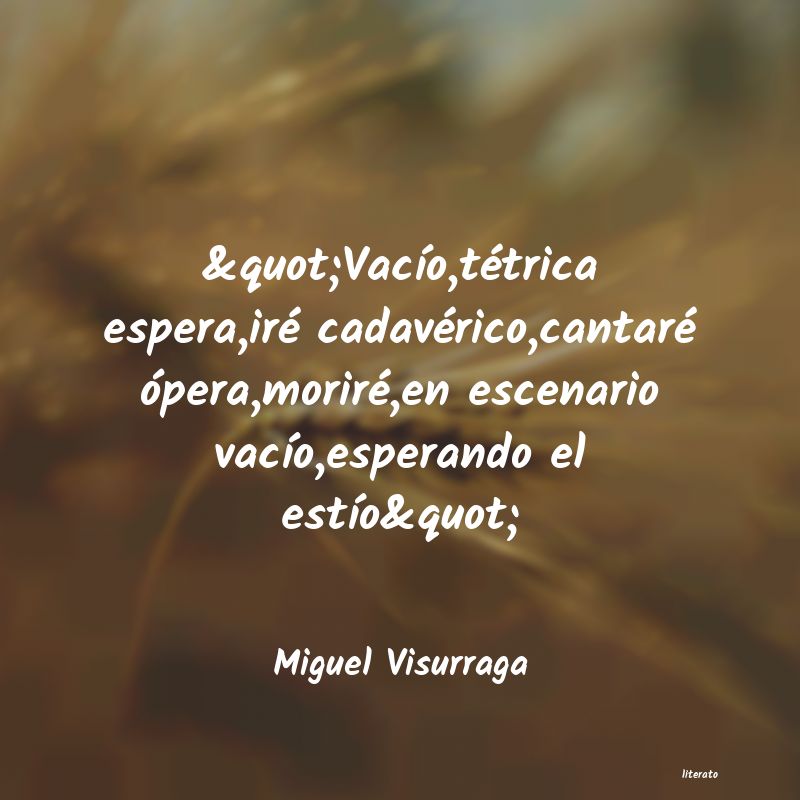 frases de Miguel Visurraga