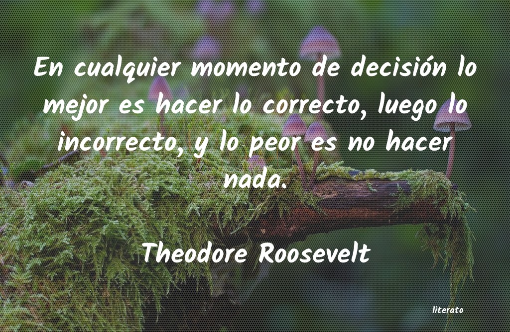 frases de Theodore Roosevelt