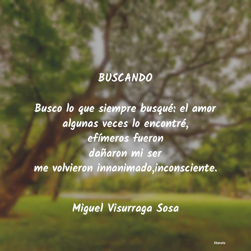 Frases de Miguel Visurraga Sosa