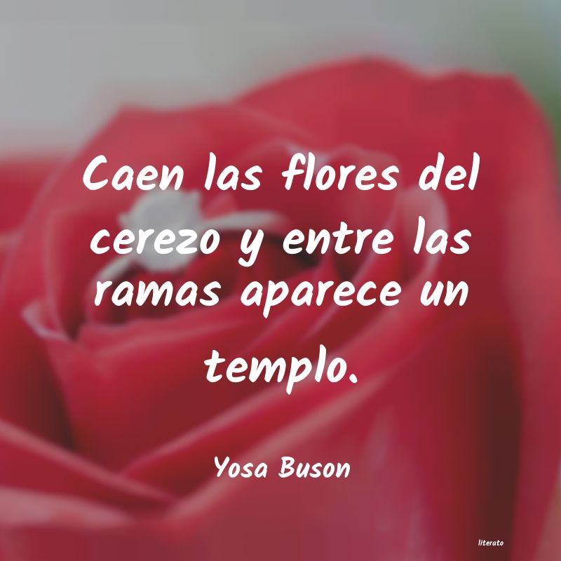 frases de Yosa Buson