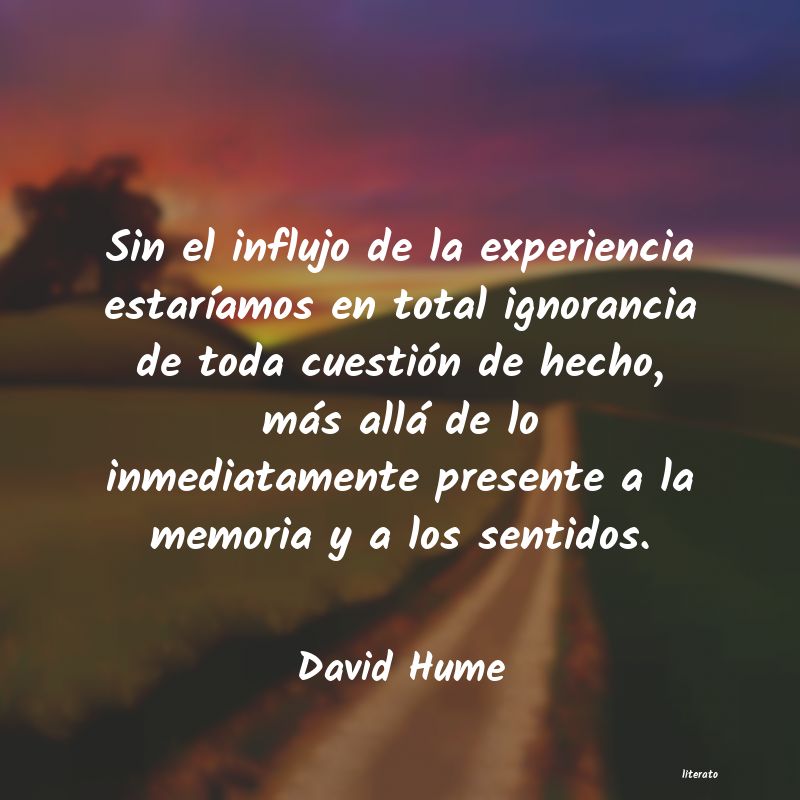 Frases de David Hume