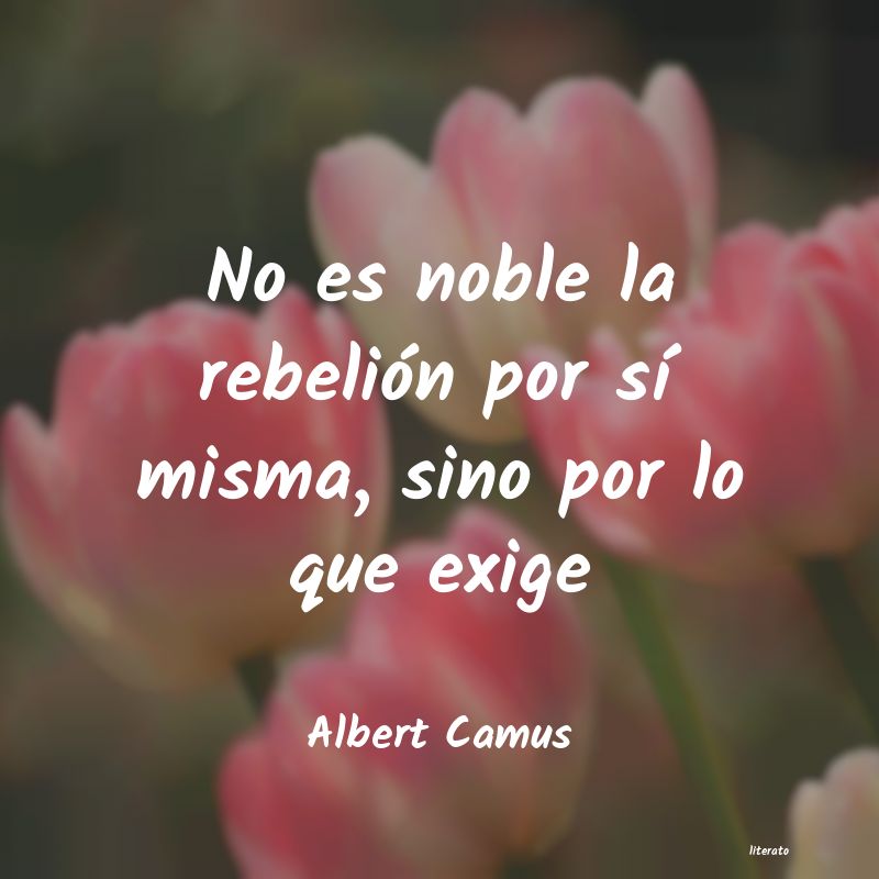 Frases de Albert Camus