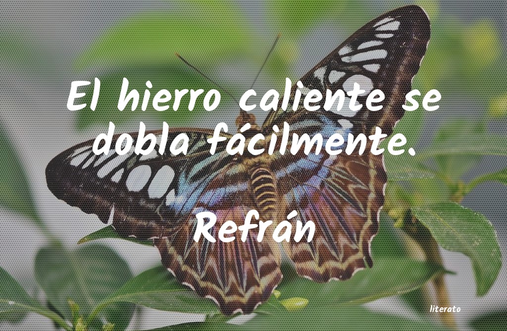 frases de Refrán