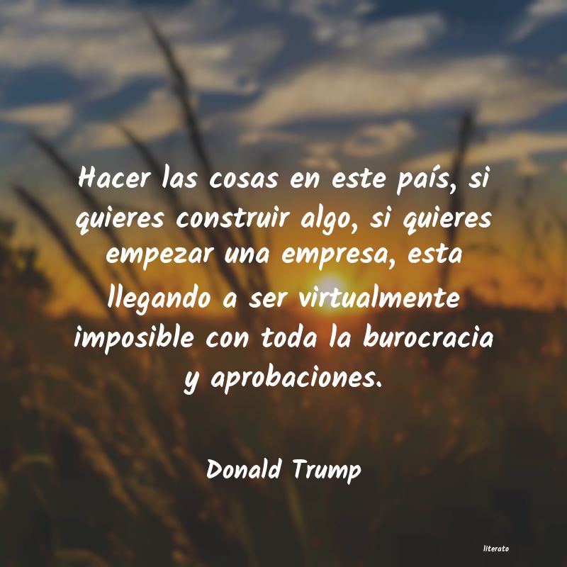 Frases de Donald Trump