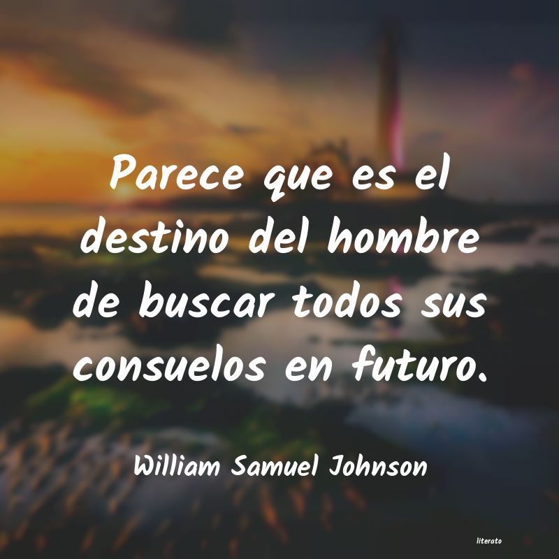 Frases de William Samuel Johnson
