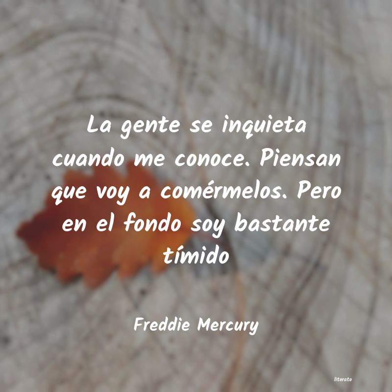 Frases de Freddie Mercury