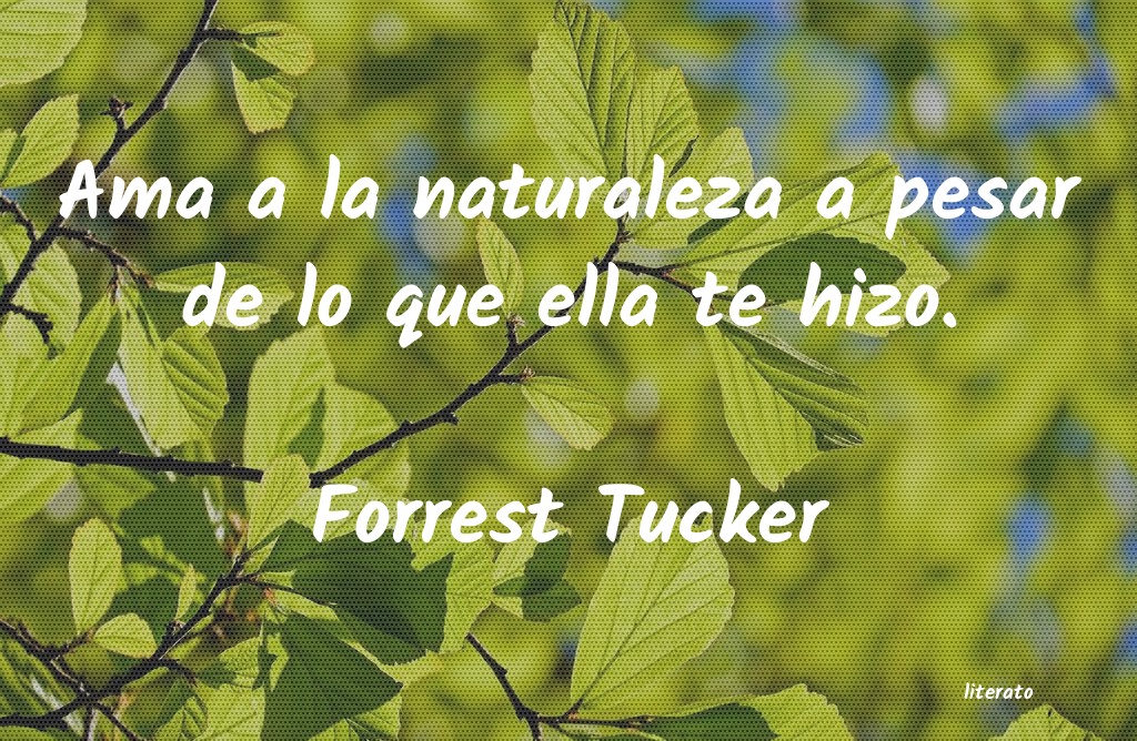 frases sarcasticas