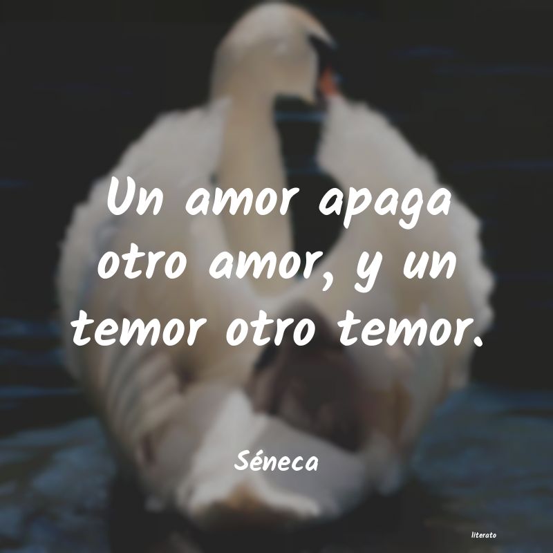 frases celebres de temor de seneca