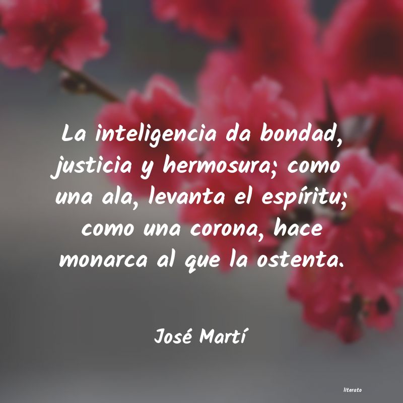 Frases de José Martí