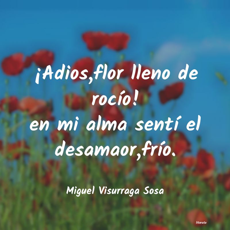 frases de Miguel Visurraga Sosa