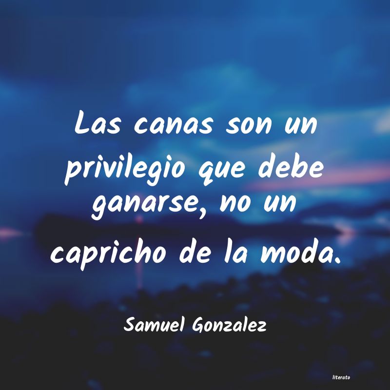 Frases de Samuel Gonzalez