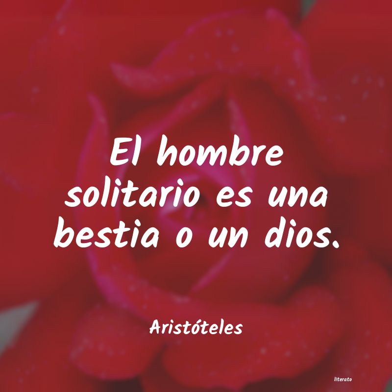 frases de un hombre solitario