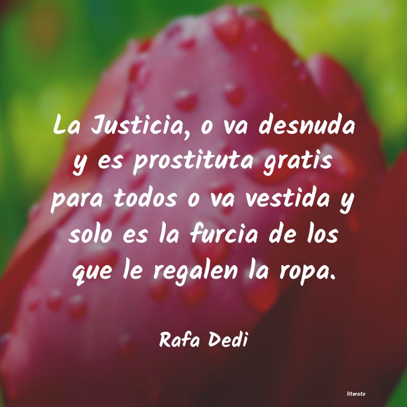 Frases de Rafa Dedi