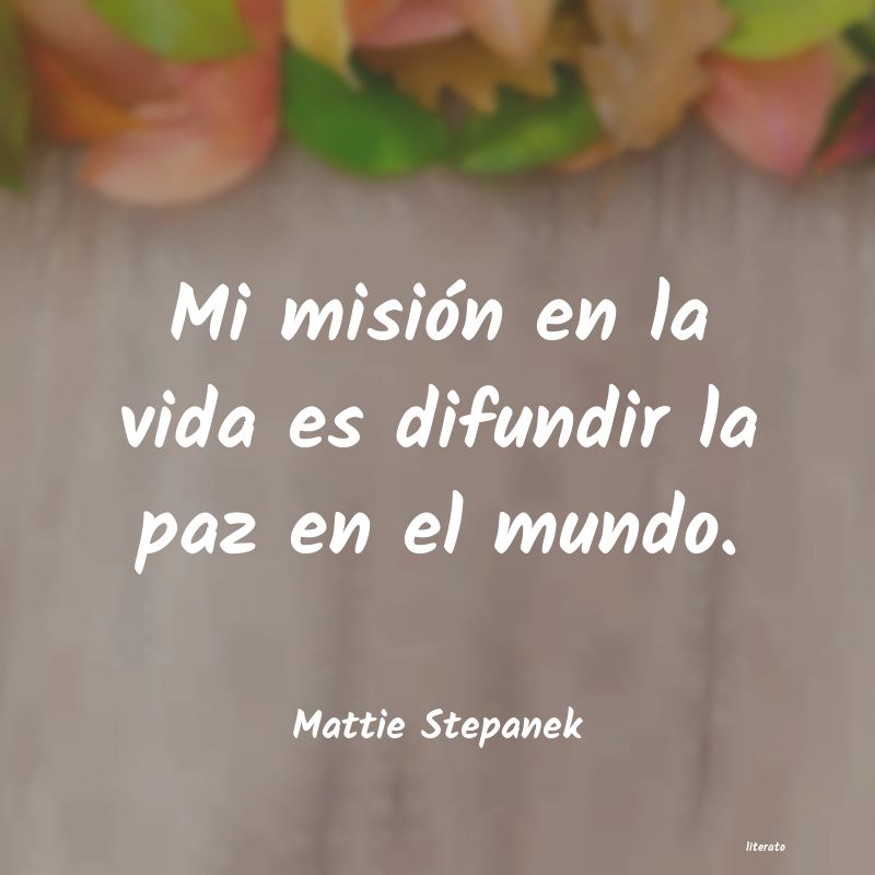 Frases de Mattie Stepanek