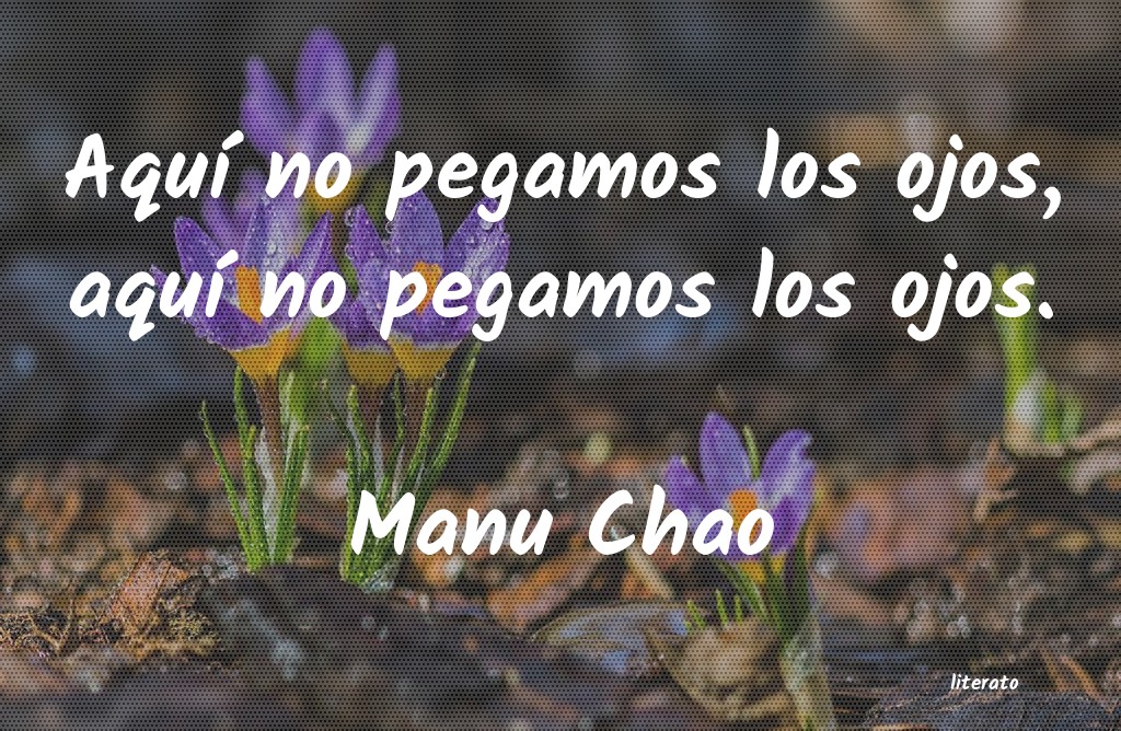 frases de Manu Chao