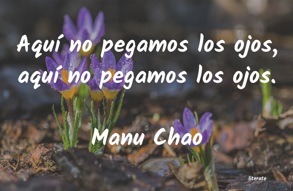 Frases de Manu Chao