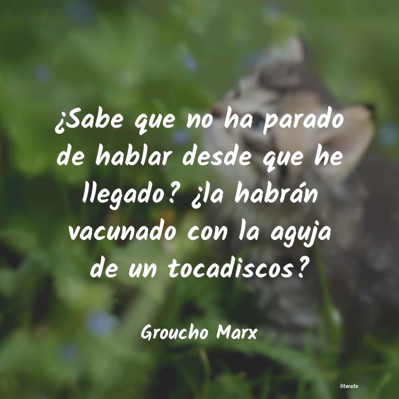 frases de Groucho Marx