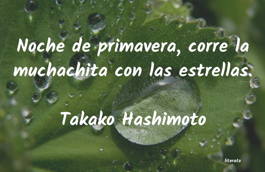 Frases de Takako Hashimoto