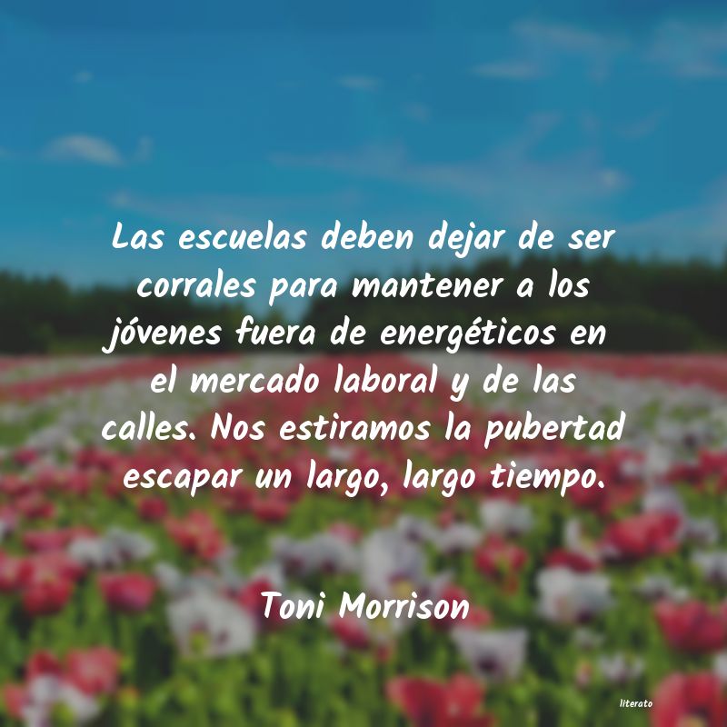 Frases de Toni Morrison