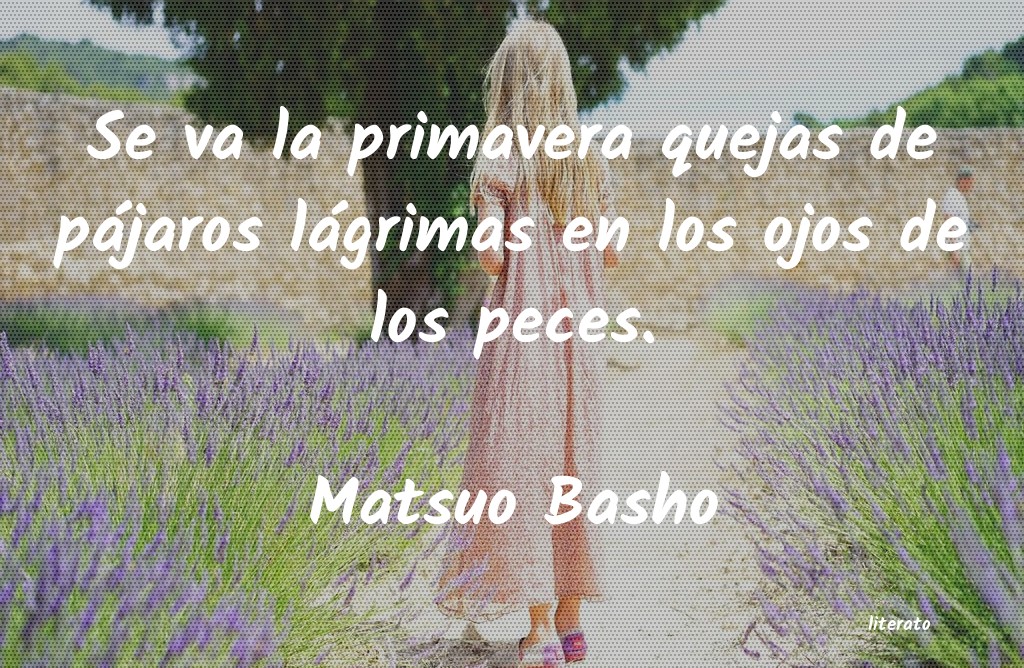 Frases de Matsuo Basho