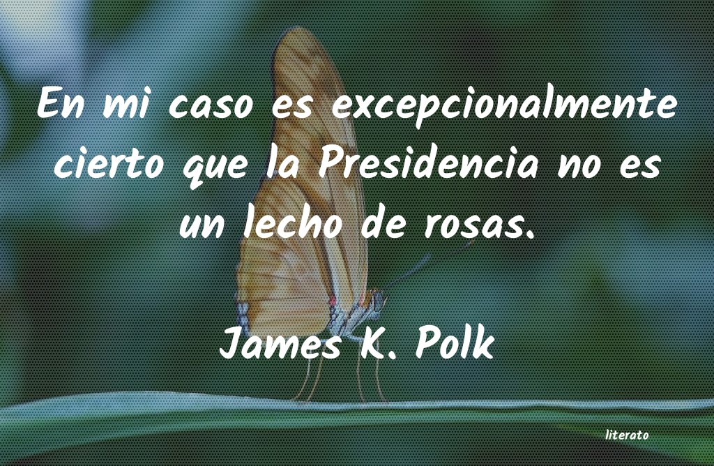 frases de James K. Polk