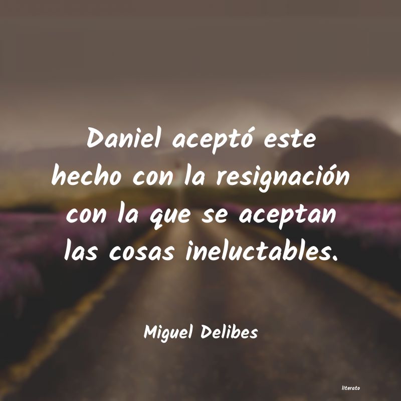 Frases de Miguel Delibes