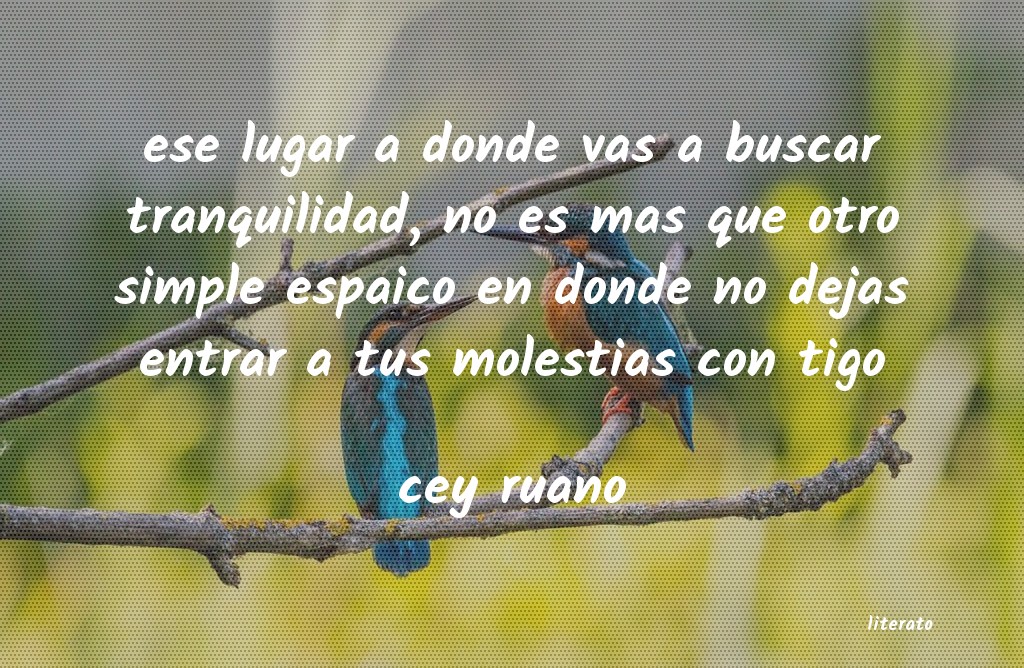 Frases de cey ruano