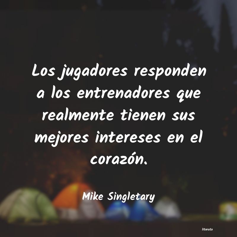 Frases de Mike Singletary