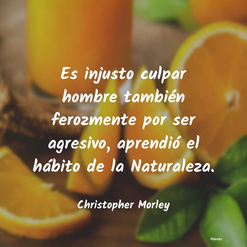 Frases de Christopher Morley