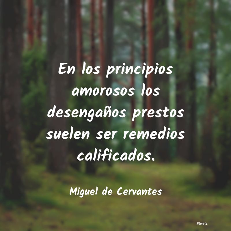 frases de Miguel de Cervantes