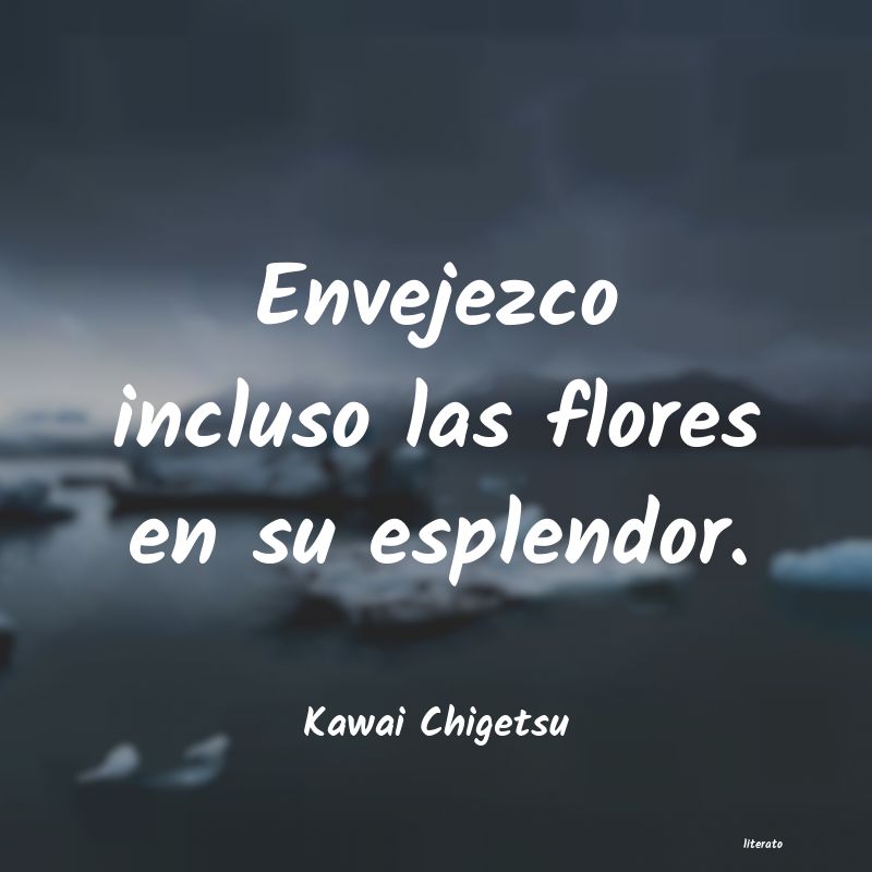 Frases de Kawai Chigetsu