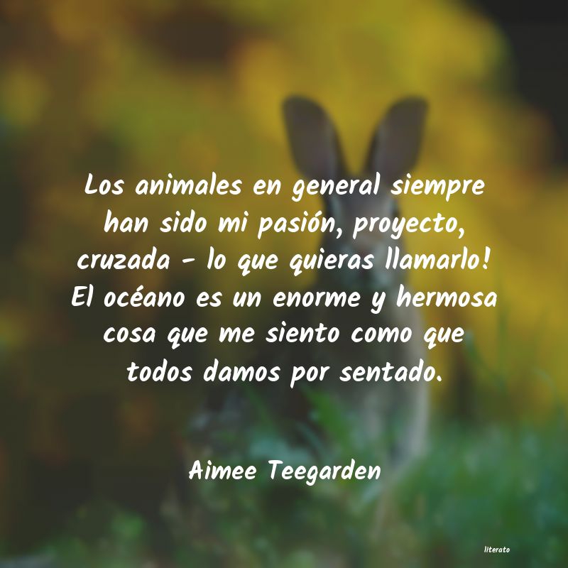 Frases de Aimee Teegarden