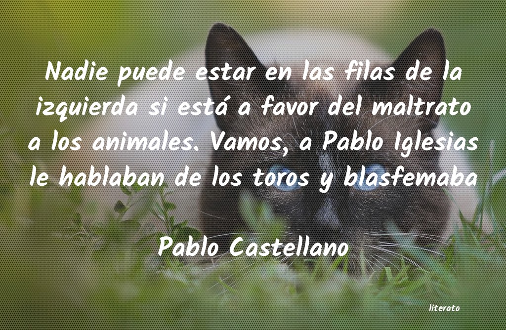 Frases de Pablo Castellano