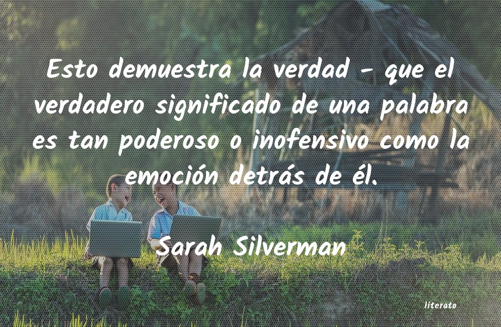 Frases de Sarah Silverman