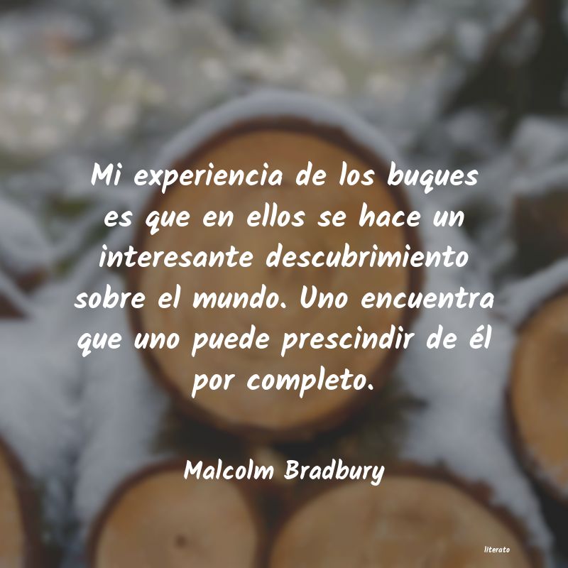 frases de Malcolm Bradbury