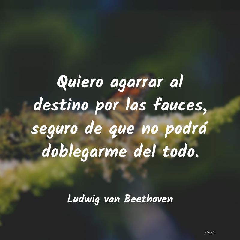 frases de Ludwig van Beethoven