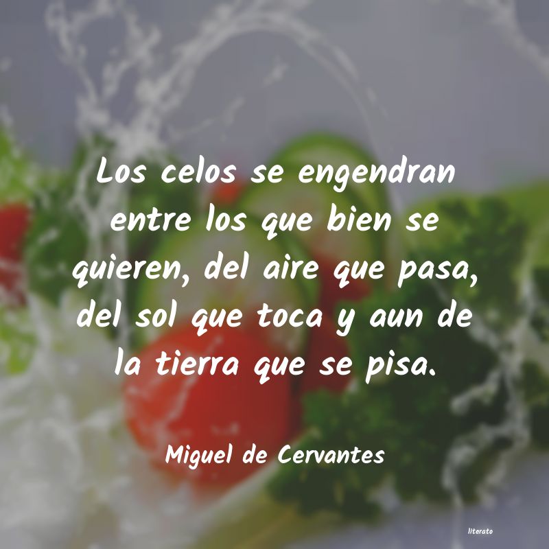 Frases de Miguel de Cervantes