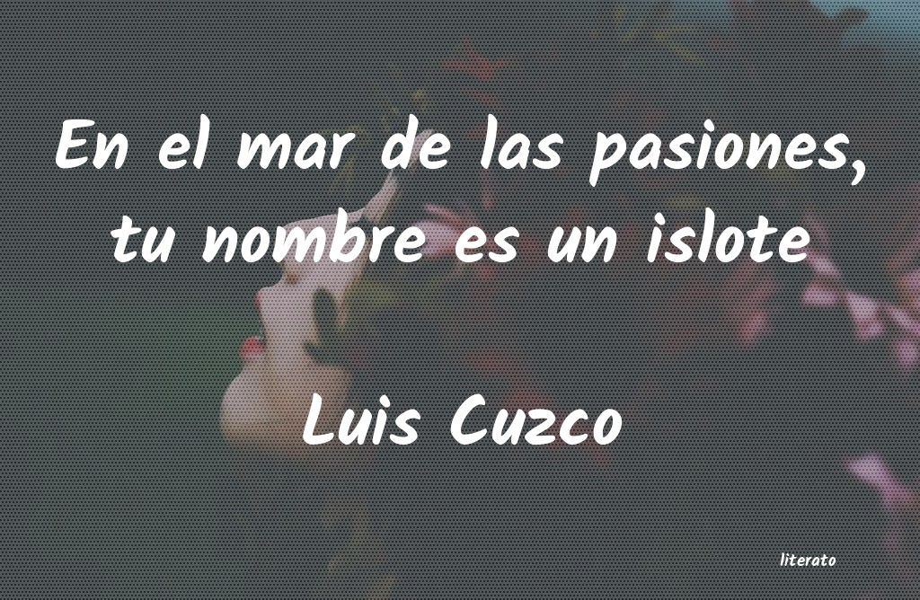 frases de Luis Cuzco