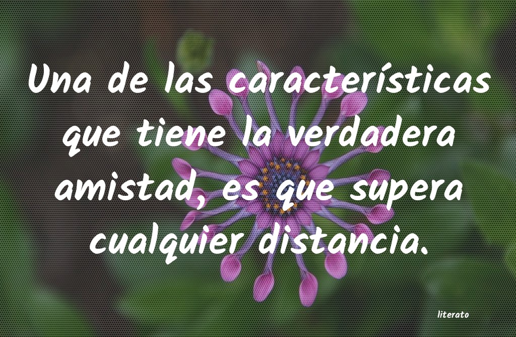 frases