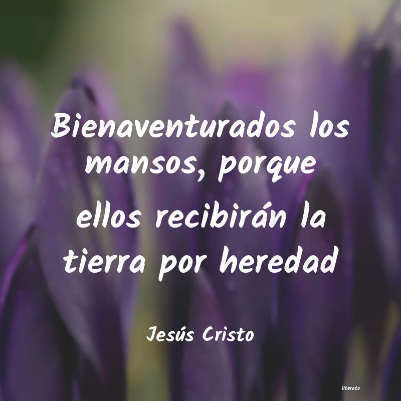 Frases de Jesús Cristo