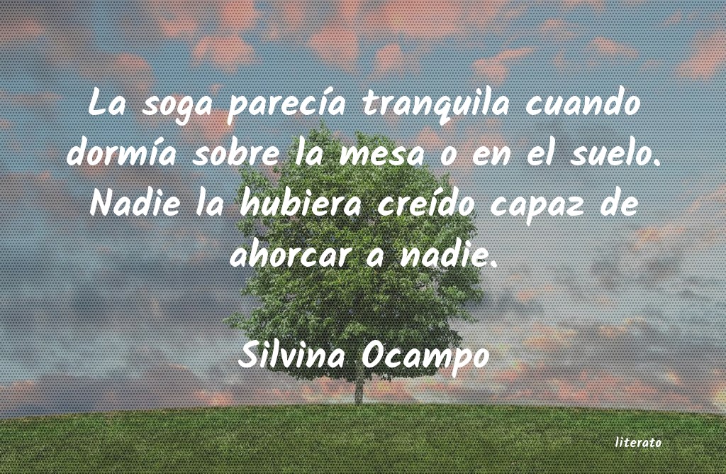 Frases de Silvina Ocampo