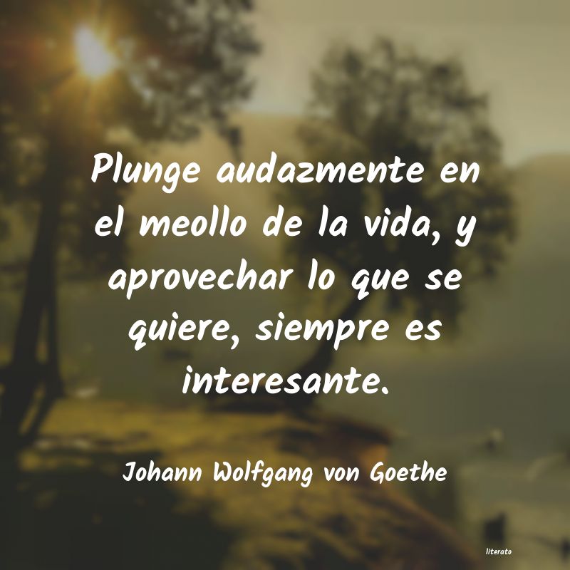 frases de Johann Wolfgang von Goethe