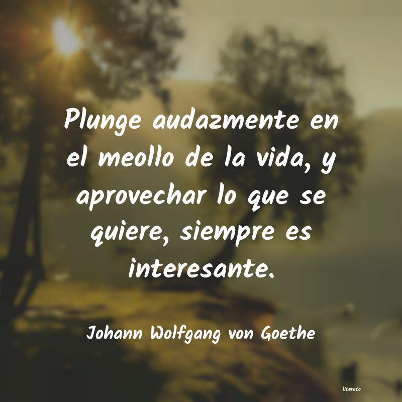 Frases de Johann Wolfgang von Goethe