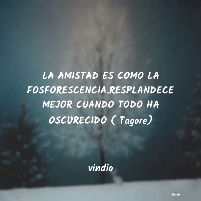 frases de vindio
