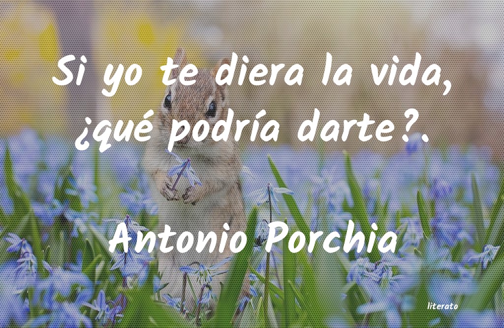 frases de Antonio Porchia