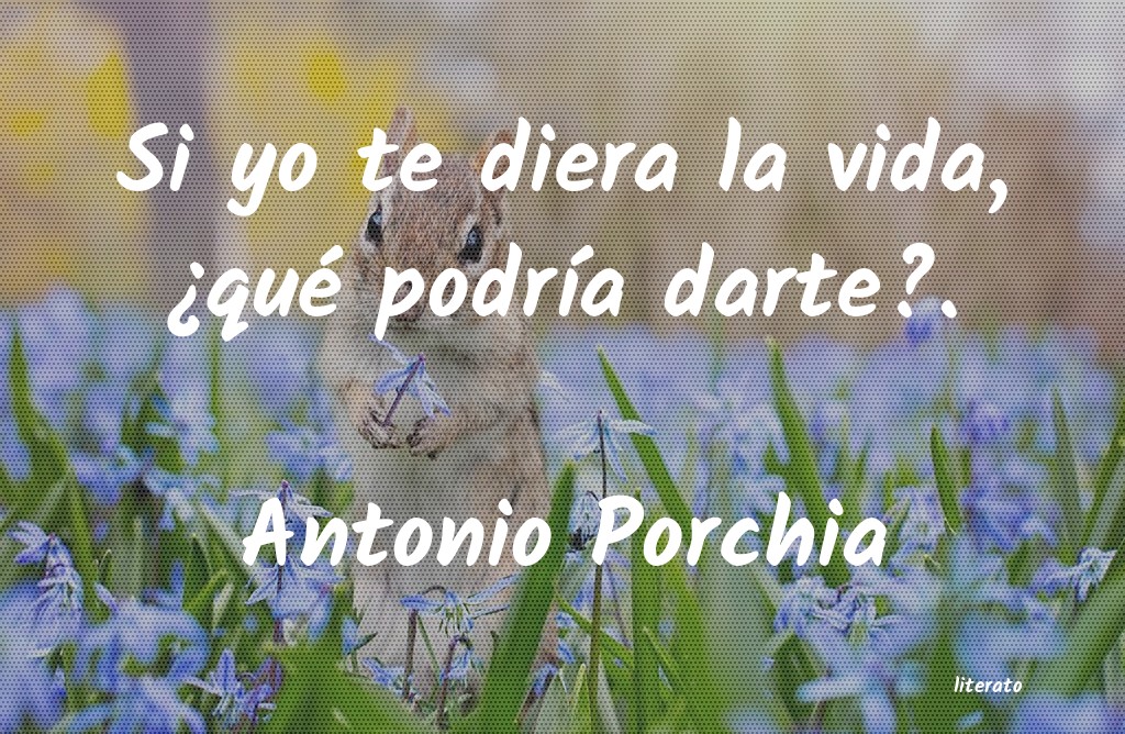 Frases de Antonio Porchia